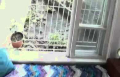 Imagem 13: Encante-se por este esplêndido apartamento 2 Quartos de luxo no coração...