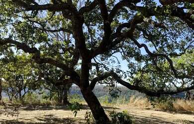 Imagem: O depósito possui 1 Vaga na garagem, 3.949m² de Área e está