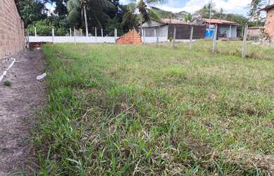 Imagem 4: Medindo 10x40 Terreno no povoado Salvadorzinho ouro fino