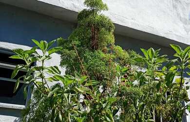 Imagem: A casa possui 5 Dormitórios, 3 Banheiros, 2 Vagas na garagem