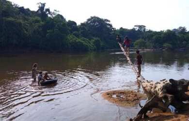 Imagem: A fazenda possui 121.000m² de Área, Imóvel novo e está