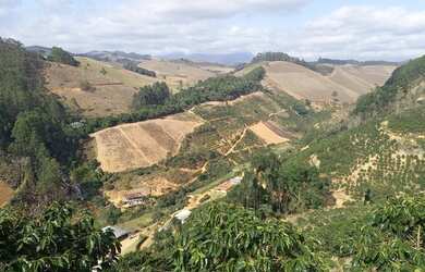 Imagem: A fazenda possui 90000m² de Área e está localizado em Domingos