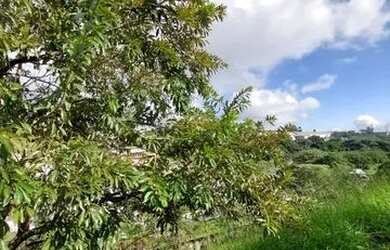 Imagem 2: Condomínio Tarumã - Santana de Parnaíba