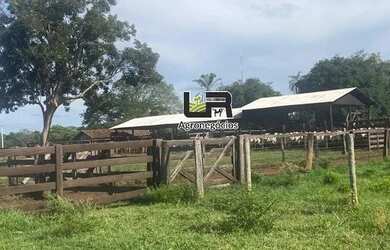 Imagem 12: Fazenda de 2.574 Alqueires em Formoso do Araguaia To