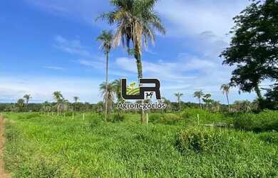 Imagem 14: Fazenda de 2.574 Alqueires em Formoso do Araguaia To