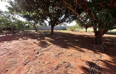 Imagem 8: Chácara à Venda na Fazenda Água Quente Santa Maria/DF