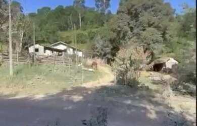 Imagem 4: Ótimo Terreno à venda no bairro BATEIAS , CAMPO LARGO - PR