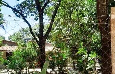 Imagem 3: LINDA CHA CARA DE 2400 METROS EM TRAS MARIAS