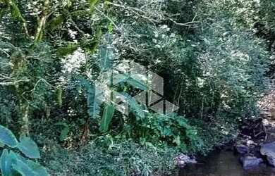 Imagem 10: Sitio de 22 hectares a poucos quilometros de Canela