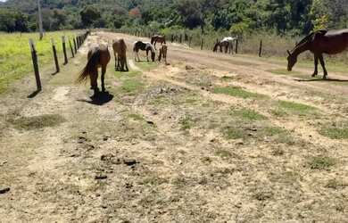 Imagem 5: Imóvel para venda possui 329000 metros quadrados em Zona Rural - Arinos...