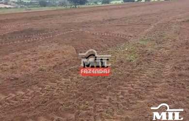 Imagem 9: Fazenda 90 Alqueires 440 Hectares Caiaponia - GO