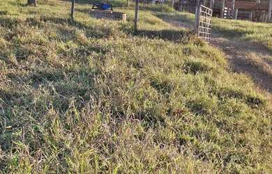 Imagem 13: Fazenda no prata 3 milhões