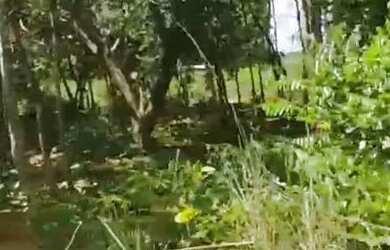 Imagem: A chácara possui 6.000m² de Área e está localizado em Jardim