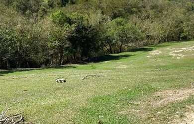 Imagem 16: SITIO RURAL em PORTO FELIZ - SP, porto