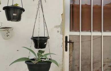 Imagem: A casa possui 1 Dormitório, 1 Banheiro, 100m² de Área, Churrasqueira