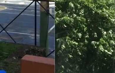 Imagem: O apartamento possui 3 Dormitórios, 2 Banheiros, 1 Vaga na