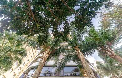 Imagem: O apartamento possui 2 Dormitórios, 2 Banheiros, 2 Vagas na