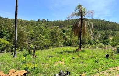 Imagem: O terreno possui 600m² de Área e está localizado em Terra