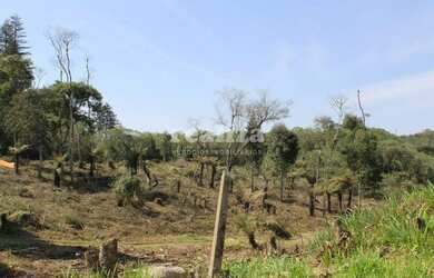 Imagem: O terreno possui 1.000m² de Área e está localizado em Canela