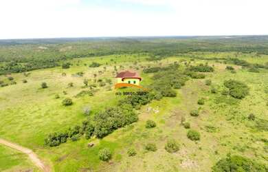 Imagem 15: Fazenda para Venda em Nova Rosalândia