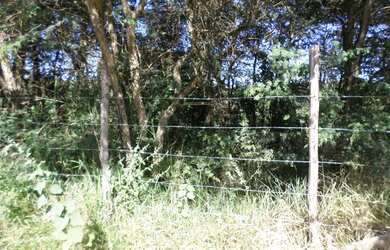 Imagem 4: Lote/Terreno para venda possui 300 metros quadrados em Cachoeira - Betim...