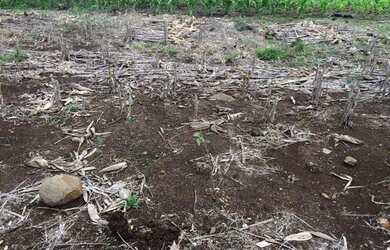 Imagem 5: Terreno 1.260,00,m², frente cercada, lugar alto linda vista, plano