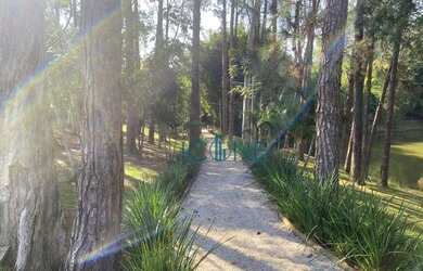 Imagem 10: Casa com 4 suites, 572 m² por R$ 5.800.000 - Condomínio Saint Patrick...