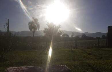 Imagem 3: Vende se sitio. 480m² de Área, 5 Vagas na garageme2 Dormitórios