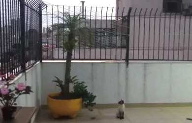 Imagem: O apartamento possui 3 Dormitórios, 3 Banheiros, 2 Vagas na