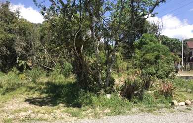 Imagem 3: Terreno - Bairro Alpes Verdes