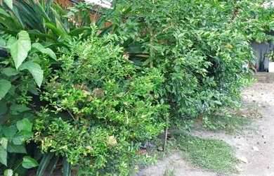 Imagem 2: Casa 180m²-terreno 360m²-praia iguape ceara-cenda -permuta por casa são paulo