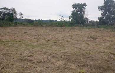 Imagem 5: Terreno no brasileirinho. 800m² de Área