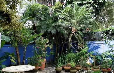 Imagem 11: Casa estilo descolada, pé direito duplo, dando o charme aos ambientes