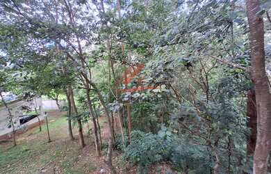 Imagem 13: Apartamento com 2 quartos para alugar no Parque São Vicente em Mauá