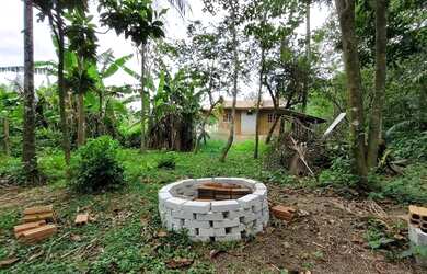 Imagem 14: LINDA CHÁCARA 1.100m2 COM CASA - TRANQUILIDADE, NATUREZA, ÁRVORES FRUTÍFERAS