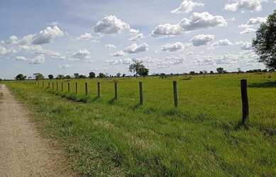 Imagem 2: Fazenda toda estruturada para pecuária, 7.821,44 hectares /1.616 Alqueires...