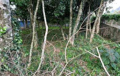 Imagem 4: Terreno à venda em Gramado - Pronto para construir