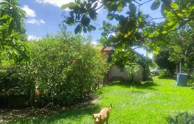 Imagem 2: SITIO RURAL em PORTO FELIZ - SP, porto