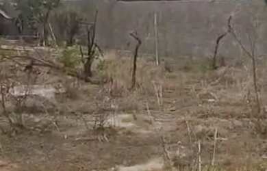 Imagem: O terreno possui 1.000m² de Área e está localizado em Recanto