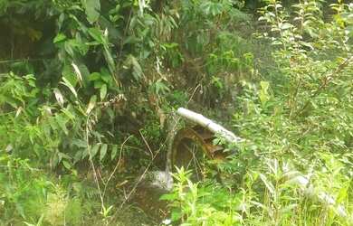 Imagem 9: VENDO LINDA FAZENDA EM STA CRUZ CABRALIA pertinho de PORTO SEGURO - BA