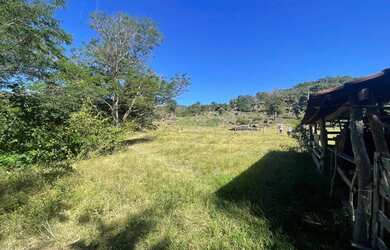 Imagem 11: Fazenda/Sítio a venda com 30Alq. quot 145,2Ha. quot Fazenda Nova/Go