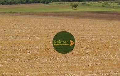 Imagem 10: Fazenda à venda, 10696400 m² por R$ 95.000.000,00 - Zona Rural - Palestina...