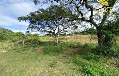 Imagem 5: Terreno de frente para açude