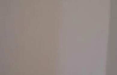 Imagem: O apartamento possui 2 Dormitórios, 1 Banheiro, 41m² de Área