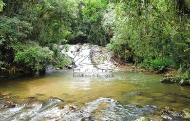 Imagem 11: Terreno Rural para Venda em Angelina, BETANIA