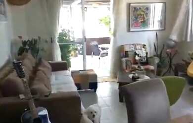 Imagem: O apartamento na cobertura possui 2 Dormitórios, 2 Banheiros