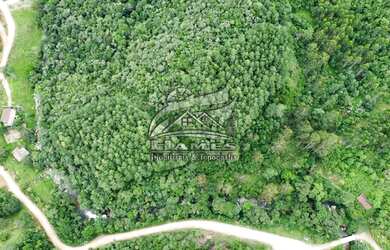 Imagem 13: Terreno Rural para Venda em Angelina, BETANIA