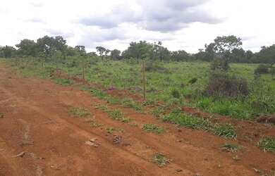 Imagem: A fazenda possui 20000m² de Área e está localizado em Cordisburgo