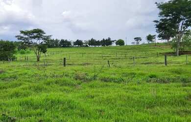 Imagem: A fazenda possui 48.400m² de Área e está localizado em Centro