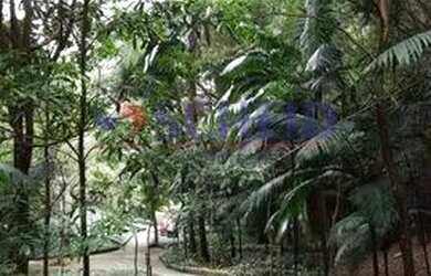 Imagem 10: Lindo apartamento para locação Reserva Casa Grande ! Impecável